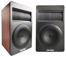 Singtronic 2500W Home Karaoke Vocal Speakers Pair 