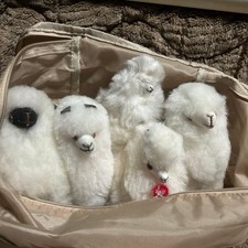 5-piece set of plush alpaca toys purchased locally in Peru a9ec53