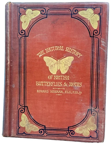 British Butterflies And Moths Edward Newman Antique Natural History Book c1870