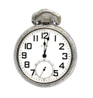 Antique Elgin 15j Pocket Watch 16s Grade 313 Model 7 w/ Train on Case