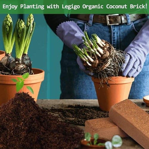 12 Pack Organic Coco Coir Bricks - Eco-Friendly Planting Medium - 100% Natural - Picture 9 of 9