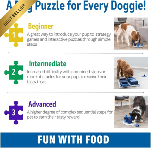 Poker Box 2 Level 3 Dog Puzzle Treat Toy for Small to Medium Dogs - Picture 7 of 12