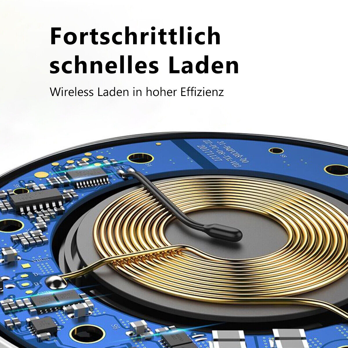 Bild 10 von 11