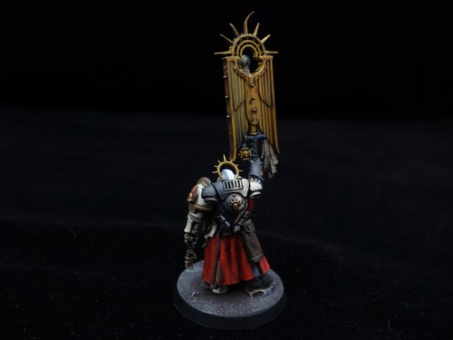 Warhammer 40K Space Marines - Primaris Bladeguard Anicent (painted) - Picture 6 of 8