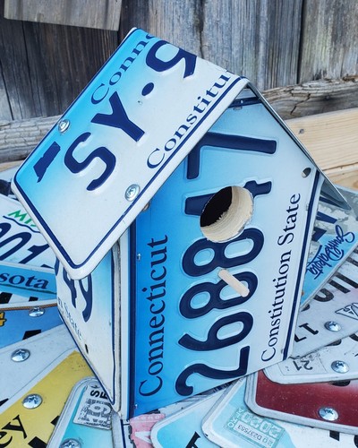 Connecticut CT Constitution State License Plate Bird House ~FastFreeShip~