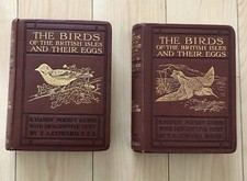 The Birds of the British Isles and Their Eggs by T.A. Coward First Edition