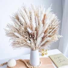 96PCS Natural Dried Pampas Grass Boho Home Decor 96 Pcs, Natural,white,beige