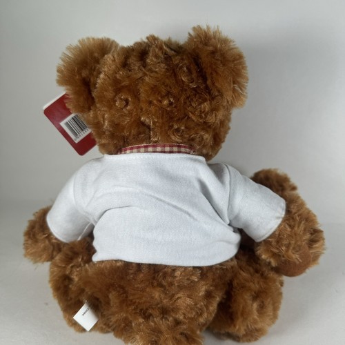 Ms Teddy Bear Plush Brown White Shirt Ovarian Cancer Alliance Cincinnati 9" - Picture 3 of 10
