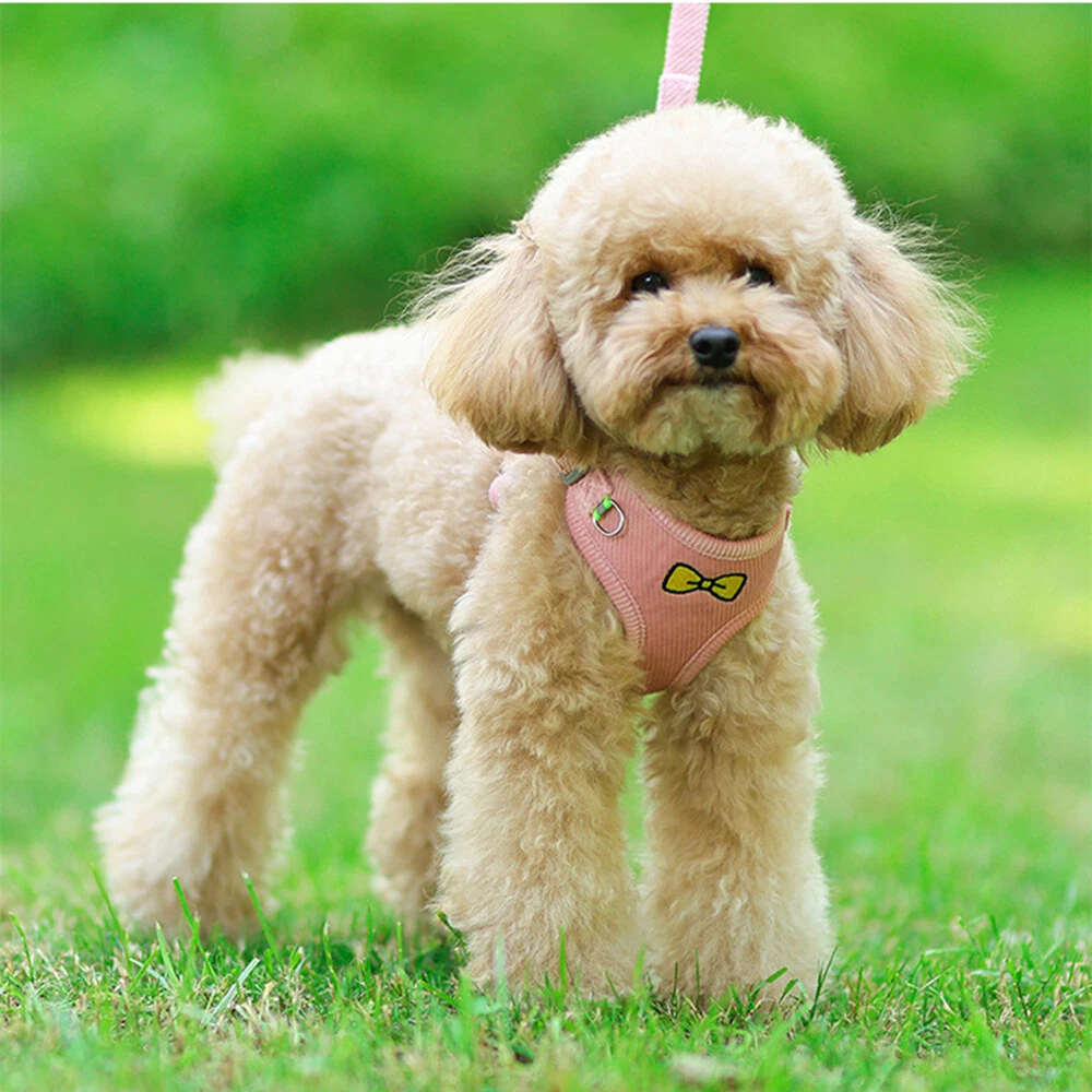 Dog Harness and Leash Set for Dogs Breathable Puppy Cats Harness Soft Warm Vest