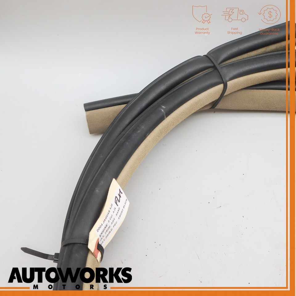 98-03 Jaguar XJR XJ8 SV8 VDP X308 Front Left or Right Door Scuff Tread Plate OEM