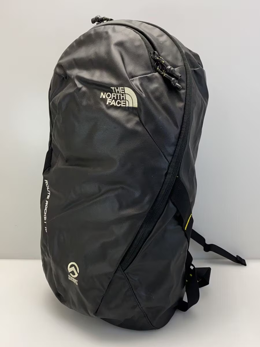THE NORTH FACE PVC Black Solid Backpack NF0A3BXX Japan Import
