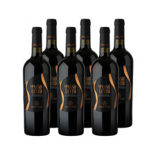 Box 6 Bottiglie A Passo Lento Cantina Vecchia Torre IGP Salento Eccellenza |2022