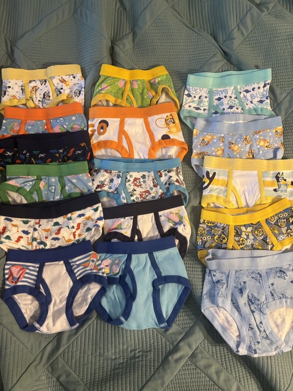 Huge Lot of 16 Pairs of Toddler Boys Underwear Size 4T Great for Potty Training!