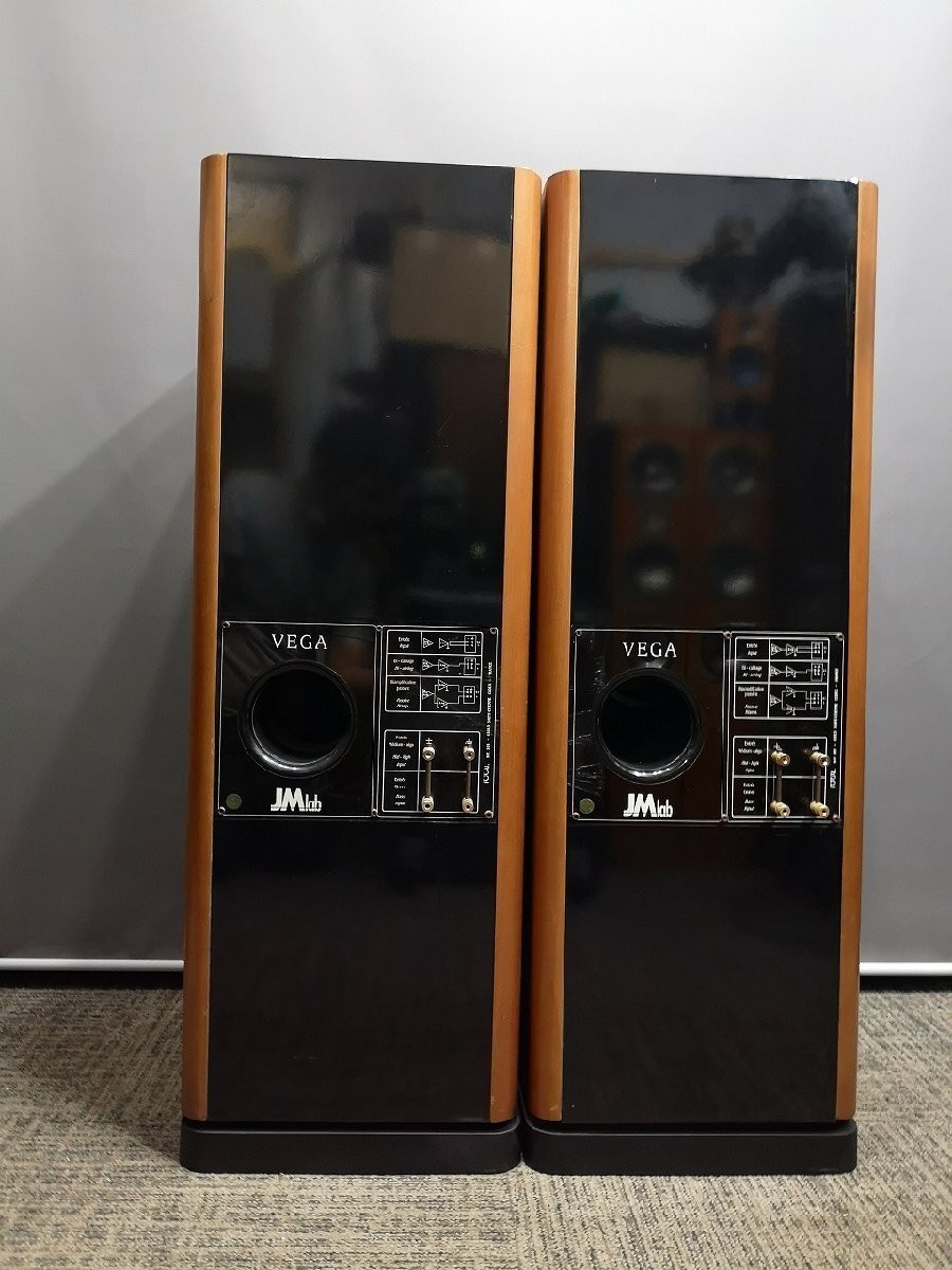 ◆Focal/JMlab VEGA ◆下取歓迎 m0s9860 JMLab/Focal Vega - YouTube