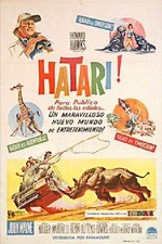 Hatari! Spanish Movie Poster John Wayne Howard Hawks Vintage 12x8in Metal Sign Hatari! Spanish Movie Poster John Wayne Howard Hawks Vintage 12x8in Metal Sign