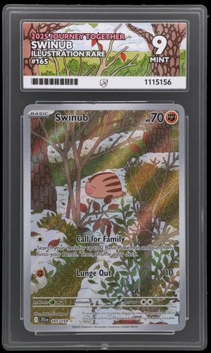 Swinub Journey Together 165/159 Illustration Rare 9 Mint Ace Graded Pokémon