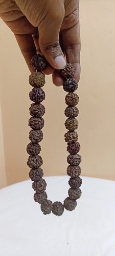 Rudraksh Rudraksha Bead Chain Mala Bangle Yoga Hindu Meditation Antiq Ancient G5