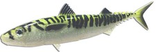Boston Mackerel Artificial Trolling Fish Lure Bait 12-3/4" Yellow/Black 3 Pack