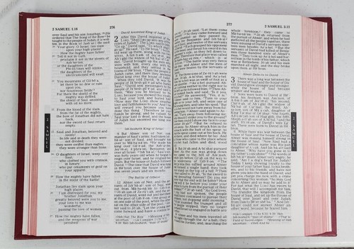 Cokesbury Holy Bible New Revised Standard Version Nelson NCC 1989 Red Hardcover - Bild 7 von 9