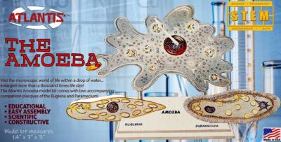 Amoeba/Euglena/Paramecium Lindberg Re-Issue Model Kit  SEALED 341AT01