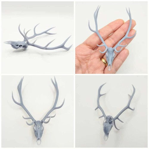 Miniature Red Deer Skull 1:12 Scale replica diorama dollhouse art (1 skull) - Picture 6 of 6