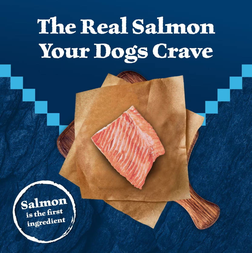 Blue Buffalo Wilderness Large Breed Adult Salmon HighProtein Dry Dog