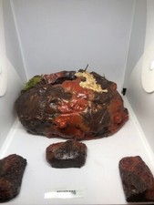 Reptile Medium Desert Magnetic Hides For Terrariums And Cages