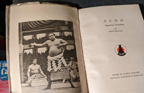 Vintage 1939-1941 Pre-WW2 Japanese Tourist Library Culture Sumo Ainu Birds Arts - Imagen 71 de 97