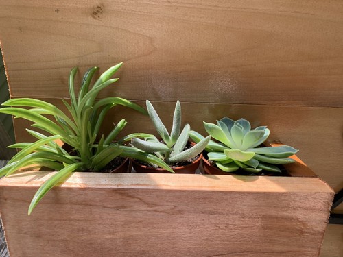 Wooden Address Planter Box - Picture 4 of 4