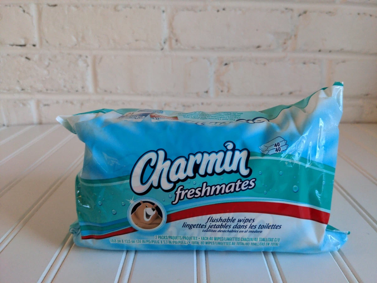 Charmin 2024 flushable wipes