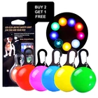 LED Dog Collar Safety Warning Lamp Night Clip Light Flashing Pet Pendant Tag
