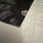 Picture 5 of 8