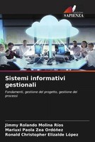 Sistemi Informativi Gestionali Jimmy Rolando Molina RíOs (U. A.) Taschenbuch