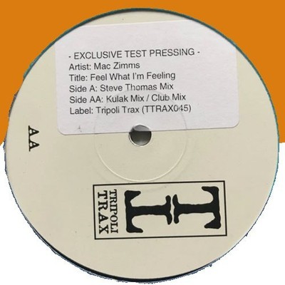 Mac Zimms - Feel What I'm Feeling - 12'' Vinyl 1999 TTRAX045 - ABFB