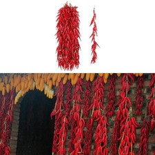 Red Chili Pepper Faux Vegetable Set 10 Pieces for Home Cafe Wall Decor