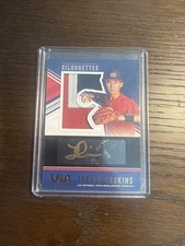 2018 Panini USA Baseball Stars & Stripes Silhouettes Trevor Haskins Gold /10