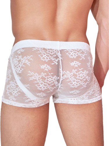 Mens See Through Lace Boxer Underwear Panties Sissy Briefs Nightwear Clubwear - Picture 22 of 41