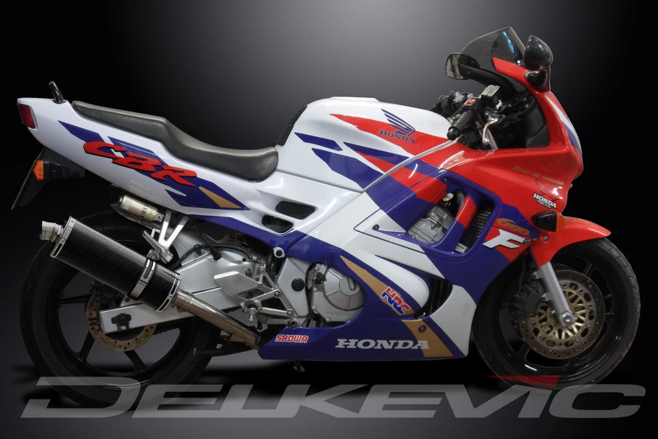 Kit silenciador escape carbono ovalado 14" deslizable Honda CBR600 F3 1995-1996 Foto 4 de 4