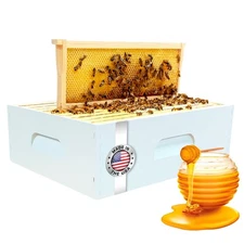 Made in USA Honey Super 10 Frame Medium Super Kit Bee Hives Boxes Starter Kit...