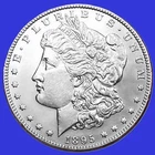 1895 O  Morgan Dollar   rare date low mintage Looks BU