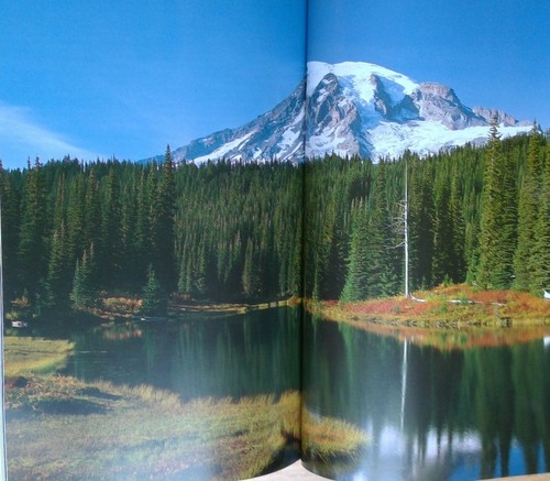 Insight Guides Nationale Parken West-Amerika Nederlands-Talige Editie 1999 PB - Picture 11 of 12