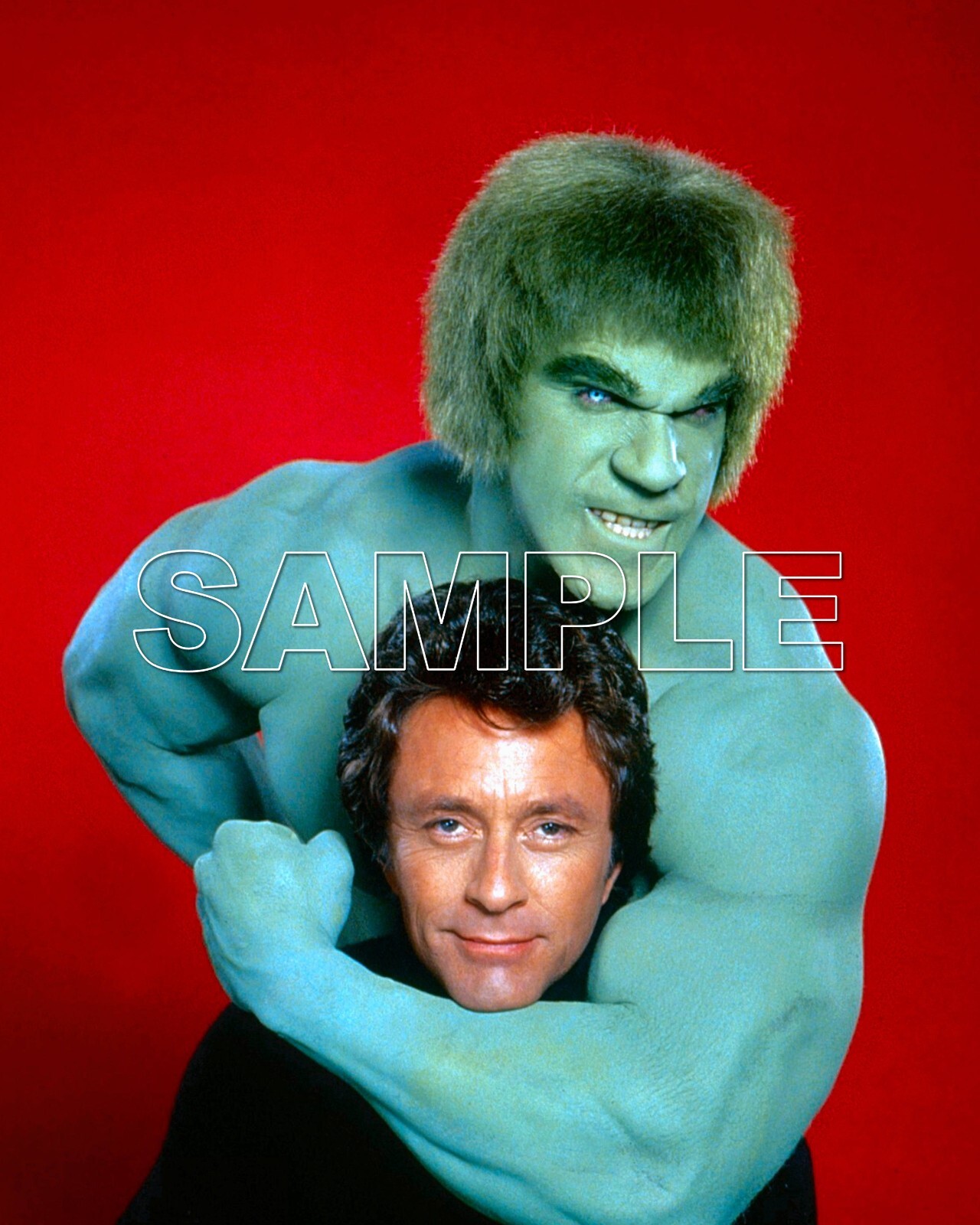 INCREDIBLE HULK 8X10 Photo 11 BILL BIXBY & LOU FERRIGNO | eBay