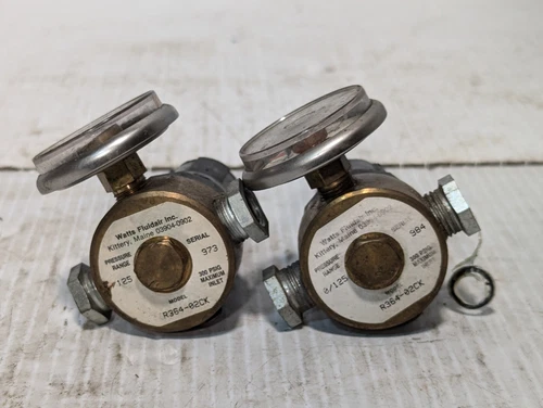 Watts Fluidair Miniature Regulator R364-02CK, 125 PSIG