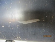 STOßSTANGE HINTEN Audi A2 (8Z0) Hatchback 1.4 16V (AUA) 8Z0807303AGRU #58885116