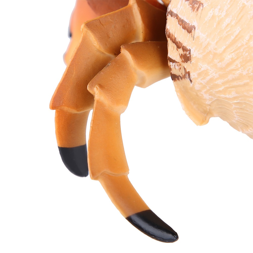 1Pc Hermit Crab Simulation Model Toy Realistic Animal Toys Gift Educational BL