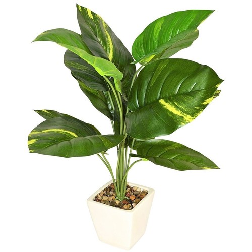 22" Pothos Plant White