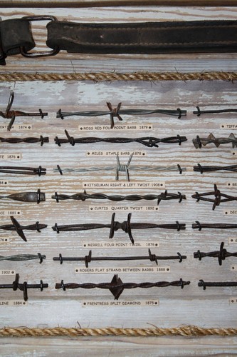 Antique Barbed Wire Display Barb wire Collection 28 Samples Old Door (550) - Picture 4 of 8