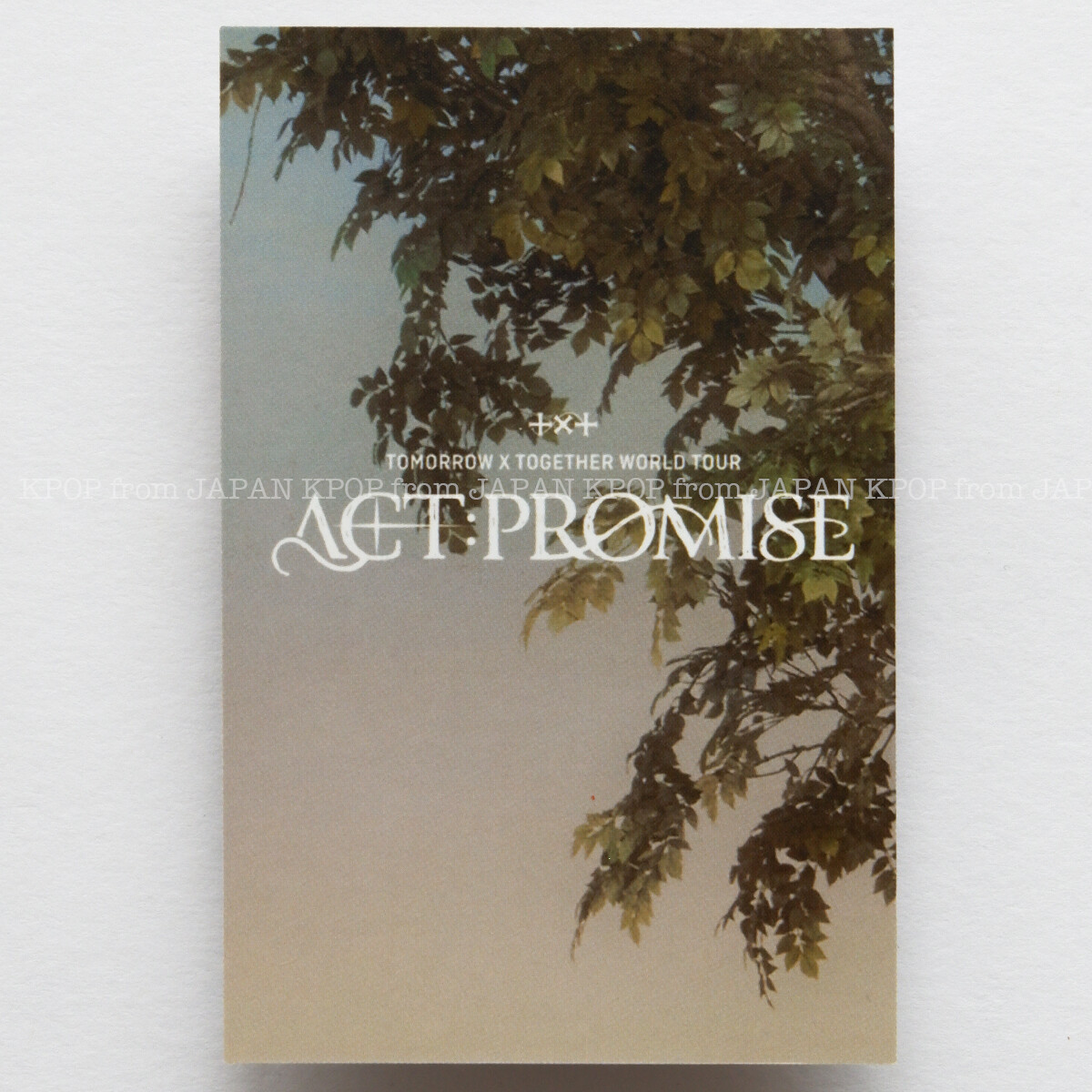 TXT ACT: PROMISE IN SEOUL MOA ZONE Photocard Yeonjun Soobin TXT ACT: PROMISE IN SEOUL MOA ZONE Photocard Yeonjun Soobin