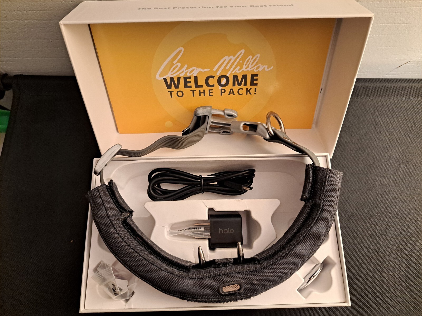 Halo 2+ GPS Dog Collar Cesar Millan M/L eBay