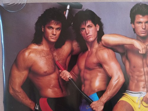 Berion poster vintage modello maschile pinup ragazzo ragazzo uomo dormitorio - Foto 3 di 7